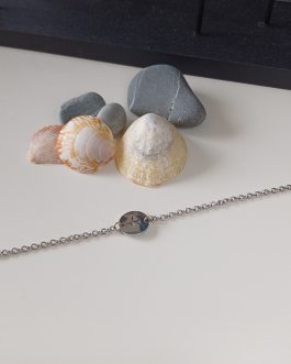 Etoile de mer